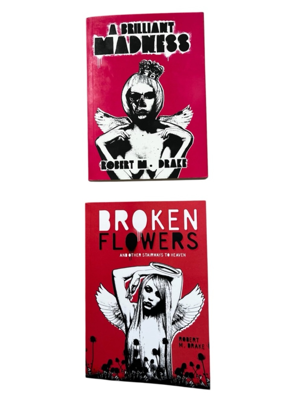 Robert M. Drake 2 New Poetry Books Broken Flowers and A Brilliant Madness